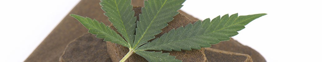 Pollen et Hash CBD Premium - L'Alchimiste du CBD Store
